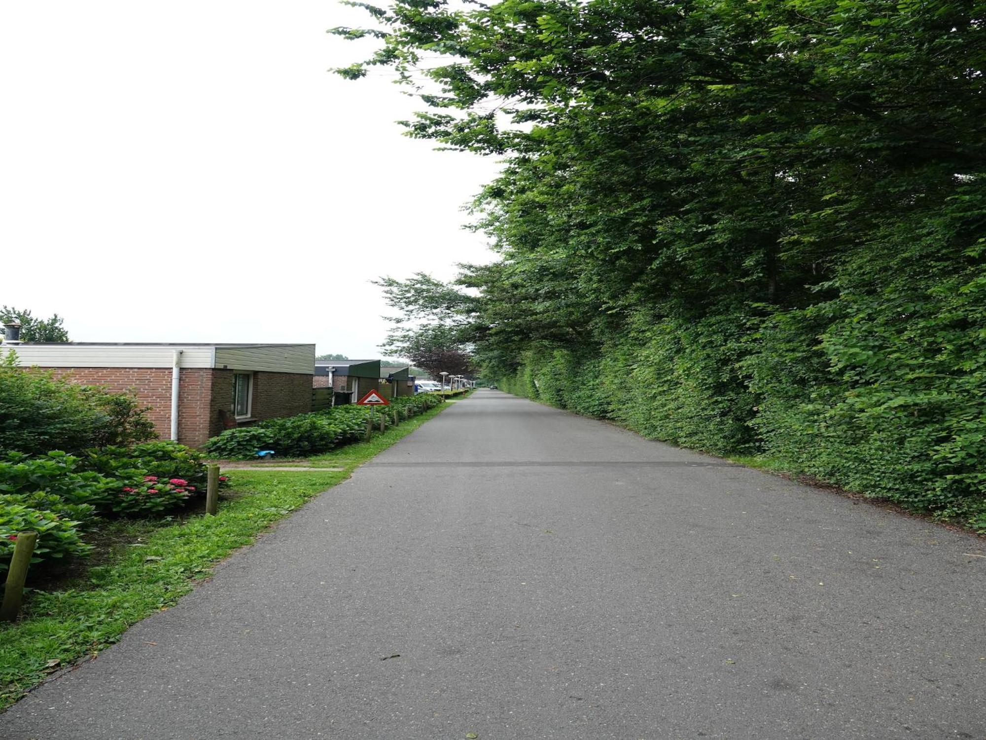 Comfortable Holiday Home In Noordwijkerhout Near The Sea Zewnętrze zdjęcie